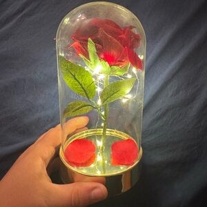 Rose in Jar